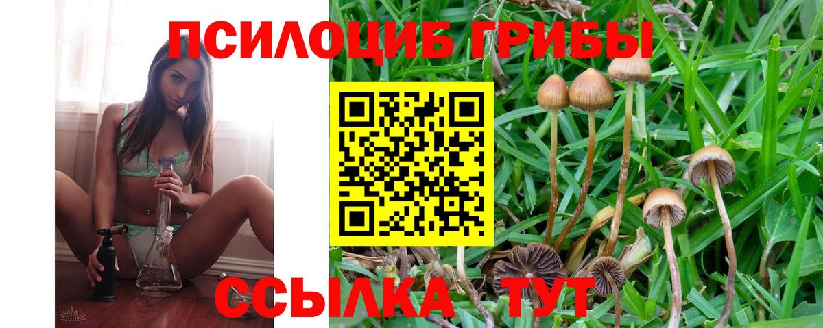 Нягань  Псилоцибиновые грибы Psilocybe  Вход с VPN 